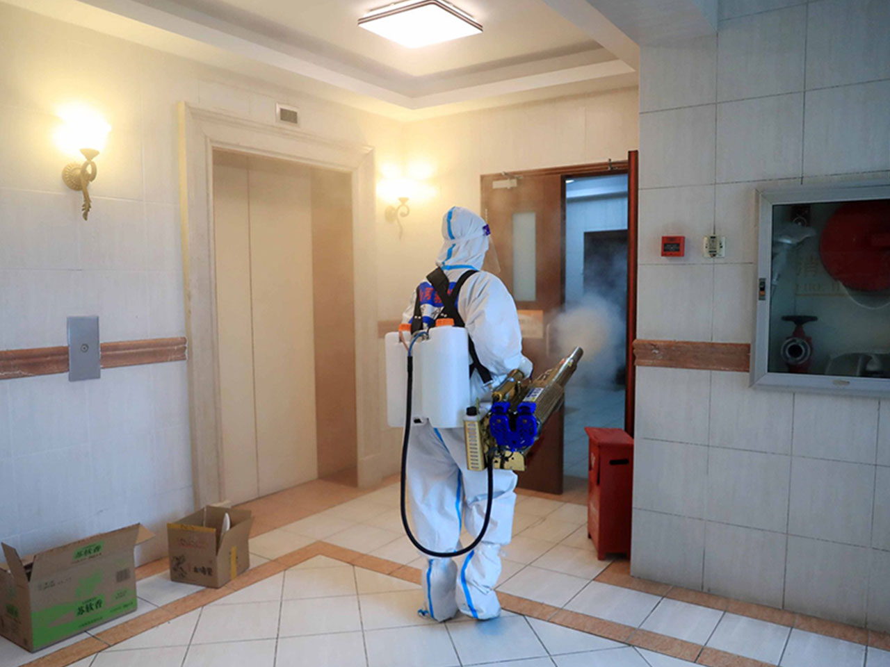 四害消杀服务